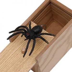 Коробка с пауком