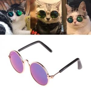 Очки для котов